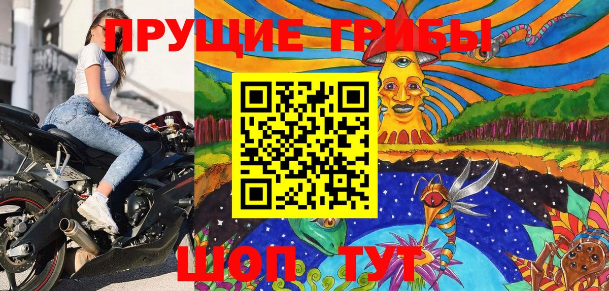 Псилоцибиновые грибы Psilocybine cubensis  Вход с VPN  Екатеринбург 